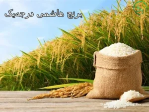 برنج هاشمی درجه_یک