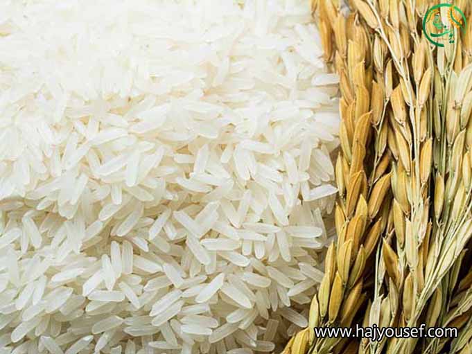 بهترین زمان خرید برنج ایرانی